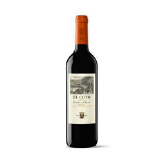 VINO TINTO RIOJA CRIANZA 75 CL