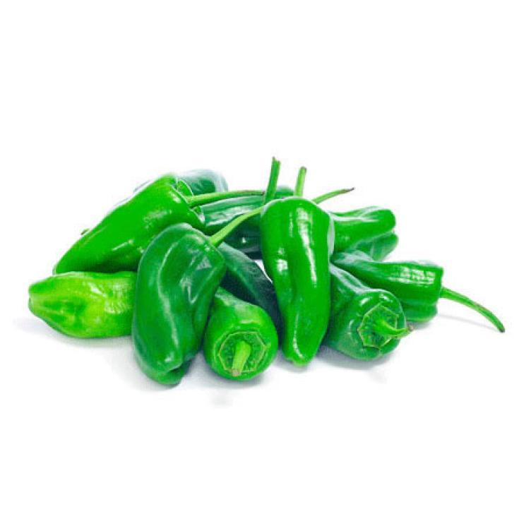 KG. PIMIENTOS DE PADRON