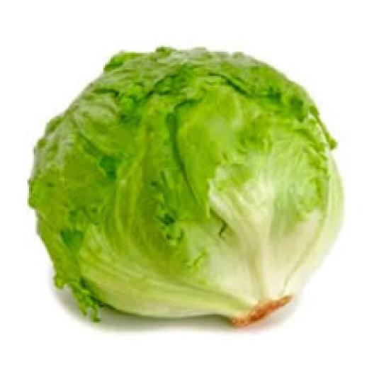 LECHUGA ICEBERG UD