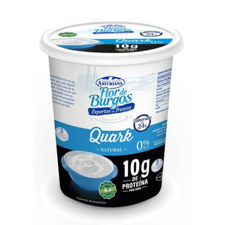 QUESO QUARK NATURAL 450 GR